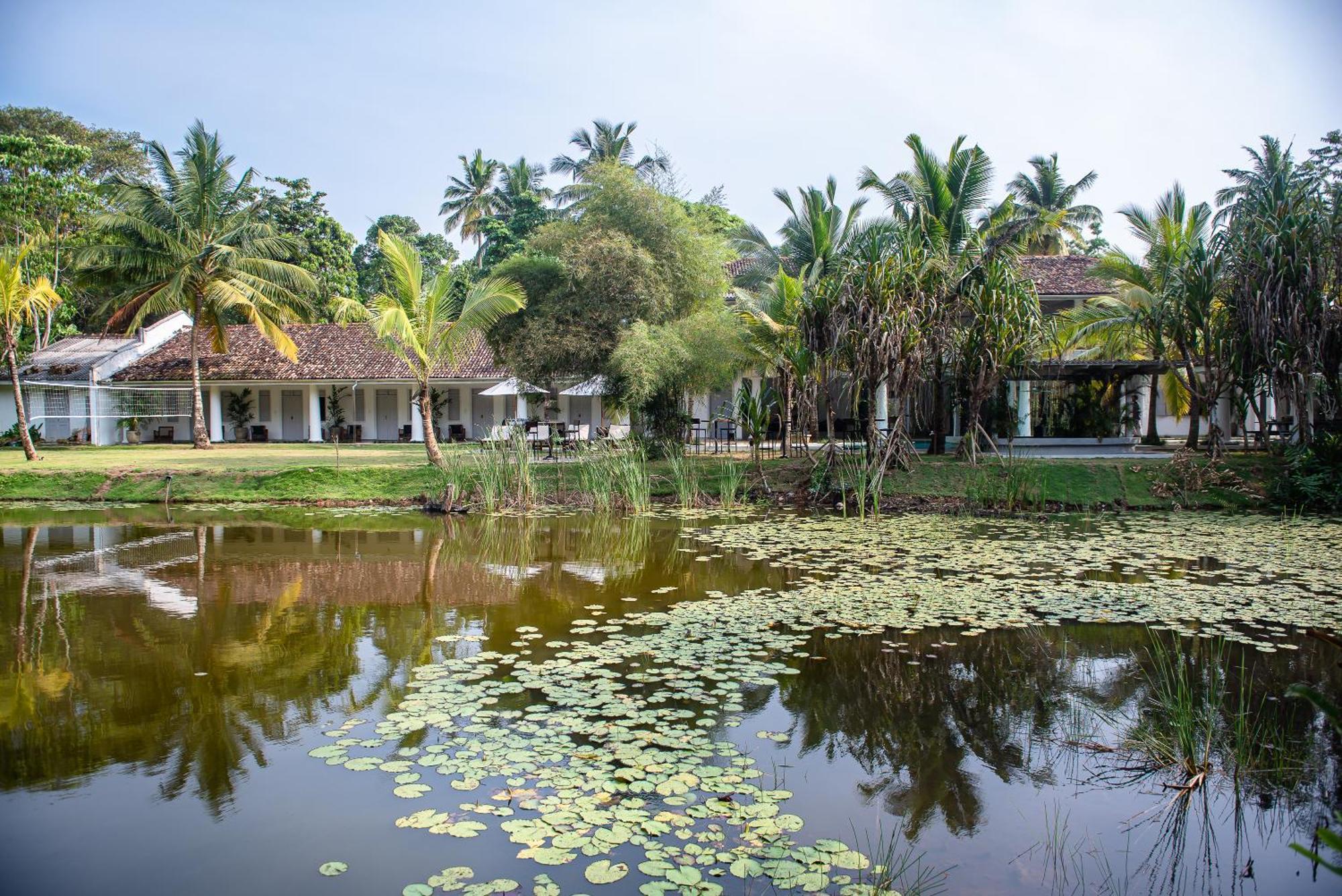 Good Story At Nirbana Island Bed and Breakfast Ahangama Exteriör bild