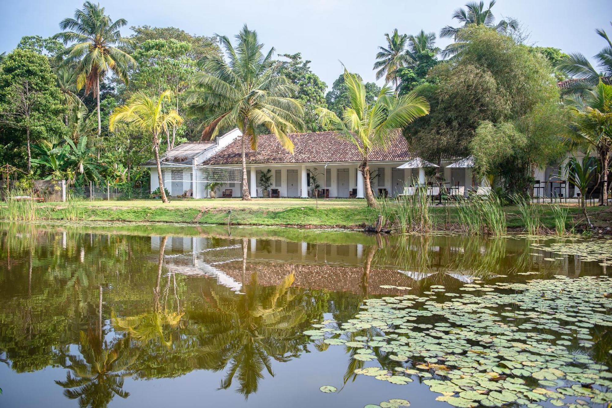 Good Story At Nirbana Island Bed and Breakfast Ahangama Exteriör bild
